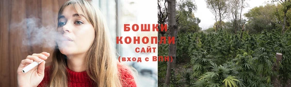дживик Вяземский