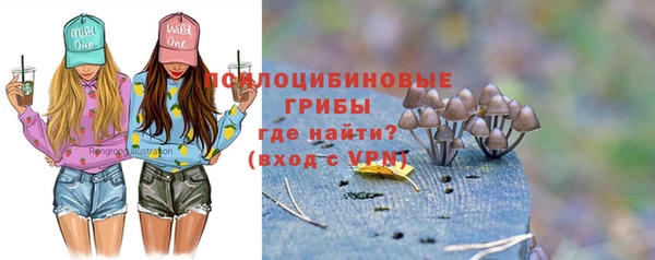 дживик Вяземский