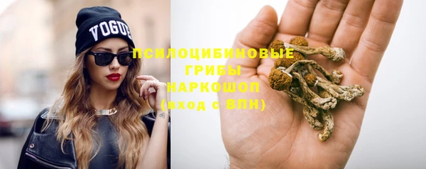 твердый Вязники