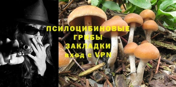 твердый Вязники