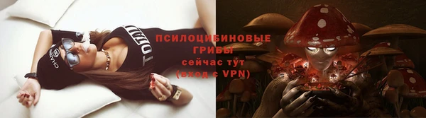 дживик Вяземский