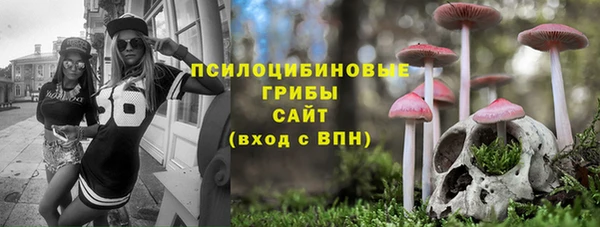твердый Вязники