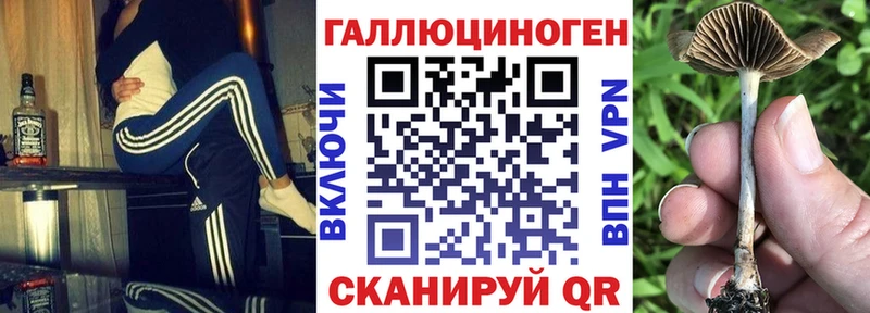 Псилоцибиновые грибы Cubensis  Купить закладки  Усть-Кут 